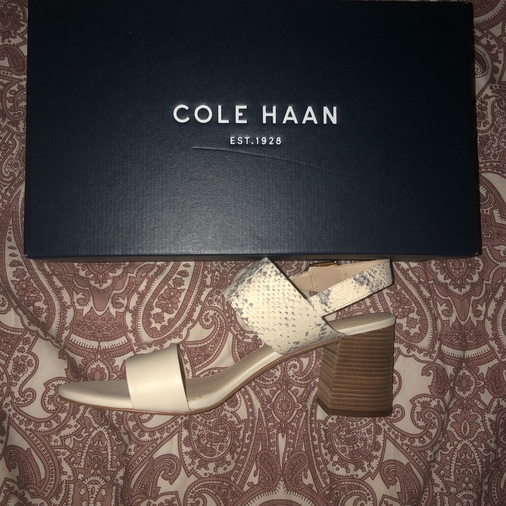 New